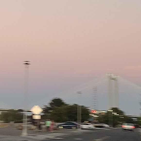 Meet your Posher, Brook! - Picture 1 of 1